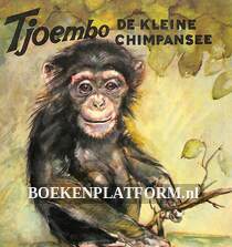 Tjoembo de kleine chimpansee