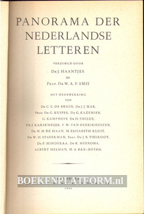 Panorama der Nederlandse letteren