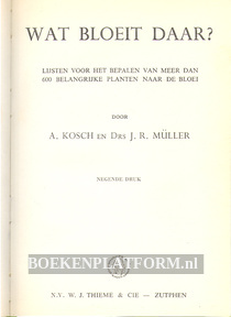 Wat bloeit daar?