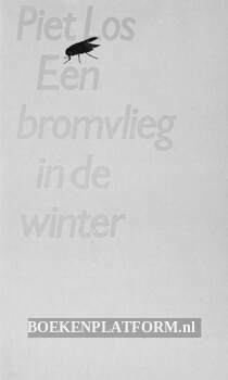 Een bromvlieg in de winter