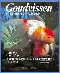 Goudvissen in aquarium en tuinvijver