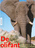 De olifant in de natuur en de cultuur geschiedenis