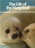 The Life of the Harp Seal
