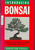 Introducing Bonsai