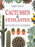 Cactussen & Vetplanten