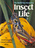 Insect Life
