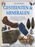 Gesteenten & Mineralen