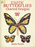 Exotic Butterflies Charted Designs