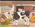 Kat en koe op de boerderij...wat hoort erbij?