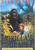 Gorilla's in de mist