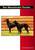 Der Manchester Terrier