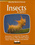 Insects & Spiders