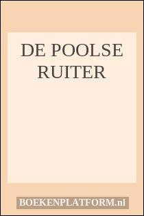 De Poolse ruiter