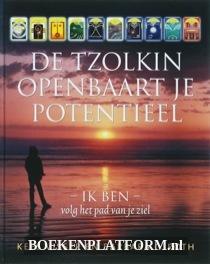 De Tzolkin openbaart potentieel